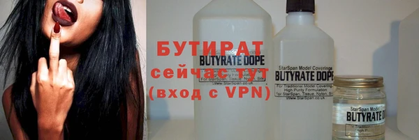 гашик Алексин