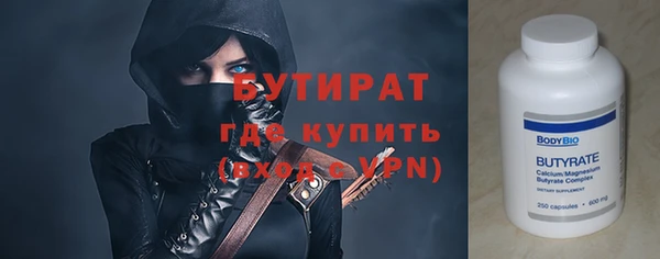 гашик Алексин