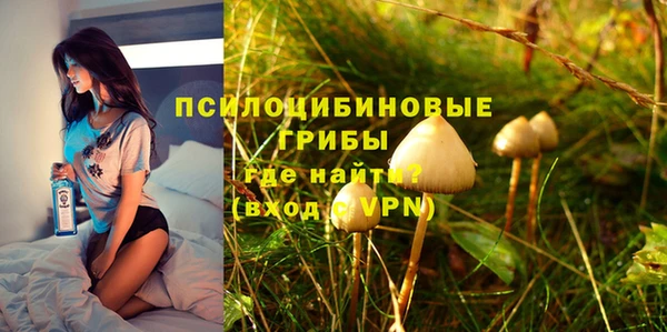 эйфоретик Алексеевка