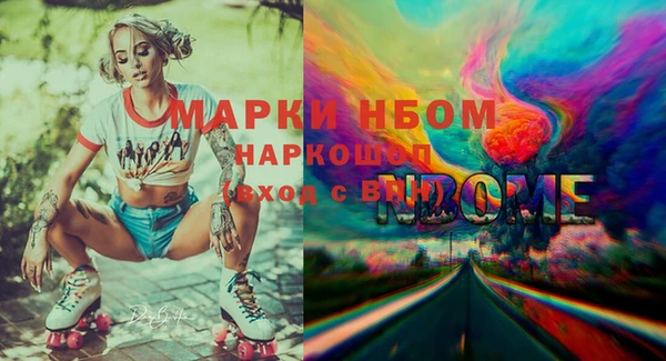 гашик Алексин