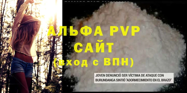 стаф Абинск
