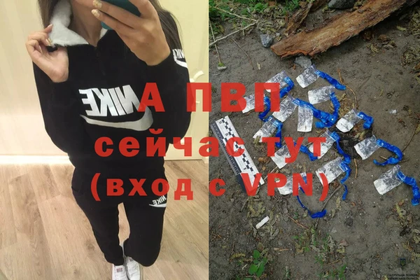стаф Абинск
