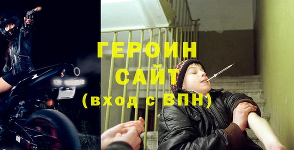 гашик Алексин
