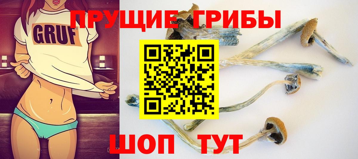 Галлюциногенные грибы MAGIC MUSHROOMS  Псилоцибиновые грибы GOLDEN TEACHER  Вход с VPN  дарнет шоп  Новочебоксарск 