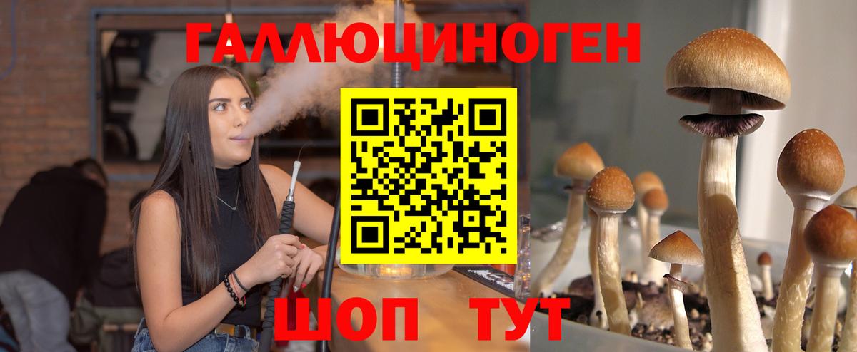 Псилоцибиновые грибы мухоморы Новочебоксарск