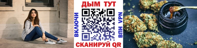 Каннабис планчик  цены   Новочебоксарск 